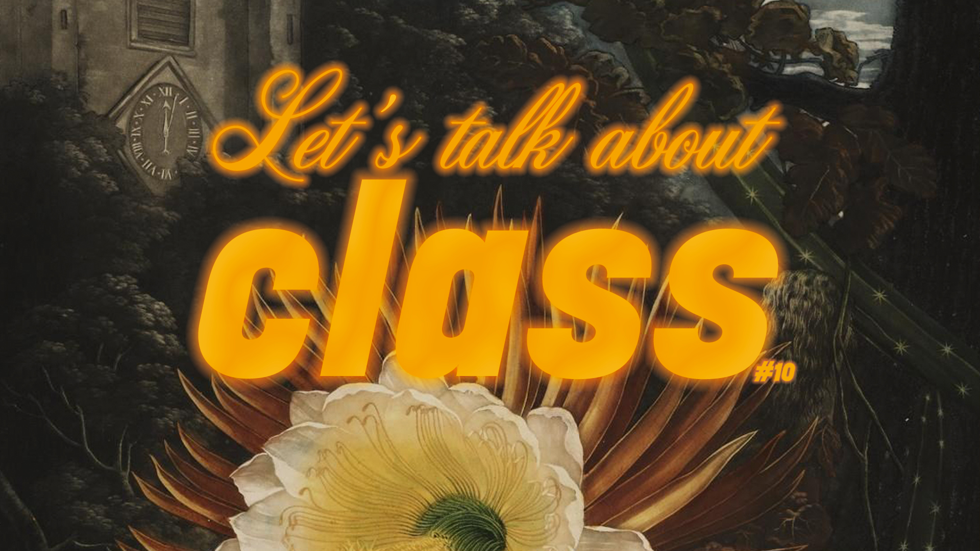 Schriftzug lets talk about class, darunter eine Blume