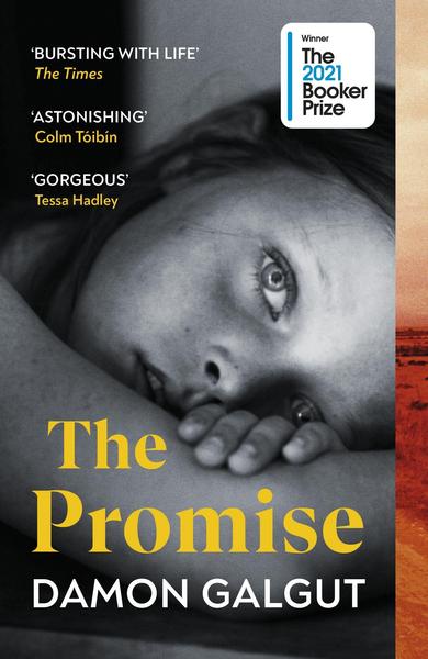 book cover of damon galgut's novel the promise