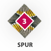 Spur 3 Logo