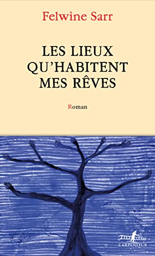 book cover of felwine Sarr's novel in french